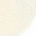 thumbnail image 1 of Lime Juice Powder - 10 lb. Bulk, 1 of 2