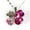 Rose Pink, variant on Silver Women Happiness Clover Leaf Crystal Pendant Chain Necklace Valentine Gift-Blue