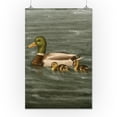 thumbnail image 2 of Mallard Ducks, Oil Painting (16x24 Giclee Gallery Art Print, Vivid Textured Wall Decor), 2 of 3