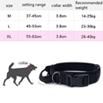 thumbnail image 3 of Collier Ajustable en Nylon pour Chien, Boucle en Métal Robuste avec Poignée pour Dressage de Chien, 3 of 6