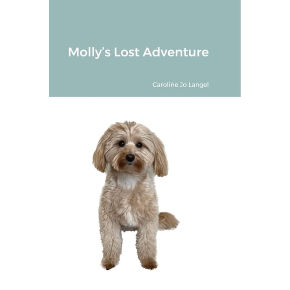 Molly's Lost Adventure, (Hardcover)