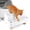 2 Step White, variant on 2 Step Black Pet Stairs Litter Box Ramp for Cats
