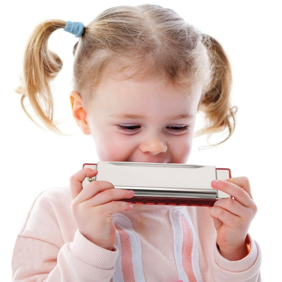 OFFIGAM Professional Diatonic Harmonica for Beginners with Case 1 Storage Box