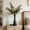 Black, variant on Plastic Vase for Dried Flowers, Tall Narrow Decorative Vase for Pampas Grass, Modern Tabletop Centerpiece for Coffee Table, Desk, Shelf or Dining Room Decor