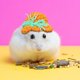 thumbnail image 5 of Gorro de punto para hámster, adorable gorro para mascota pequeña, con correa ajustable, diseño de ranas, conejos y zanahorias, plegable y portátil, de lana suave, ideal para hámsteres y, 5 of 9