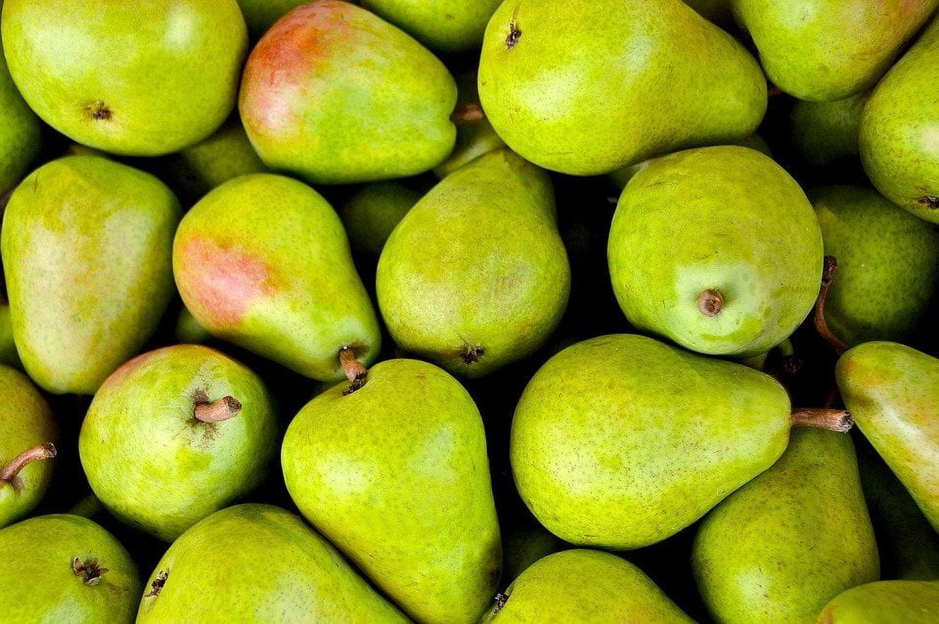 Fresh Organic Bartlett Pears, 2 lb Bag