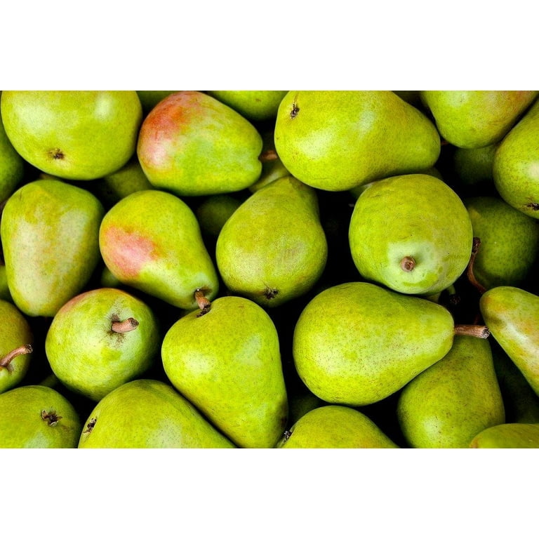Organic Bartlett Pears, 5 lbs