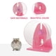 thumbnail image 3 of Rueda de ejercicio para animales pequeños, suministros para mascotas, pelota de ejercicio, ruedas para hámsteres y ardillas, para correr, de acrílico, 3 of 6
