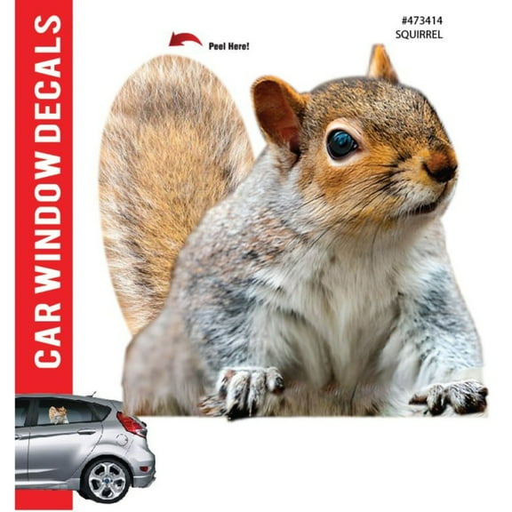 Car Window Decal - 3D - (Squirrel)