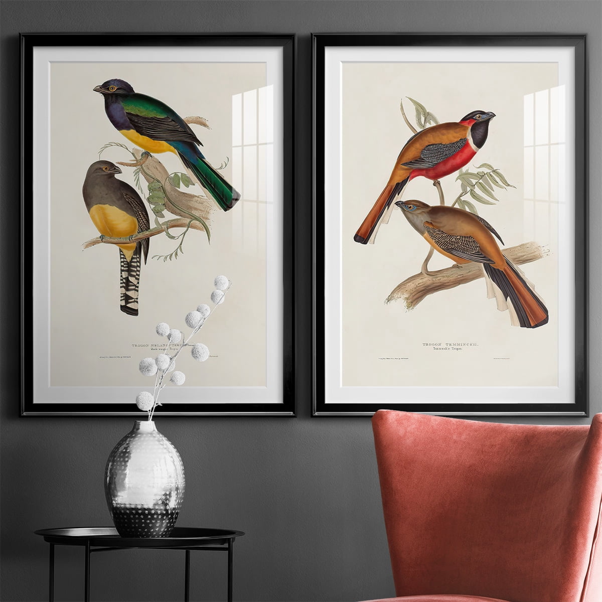 Wexford Home Elegant Trogons III Premium Framed Print, 30.5" x 42.5" - Ready to Hang, Black (Set of 2)