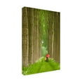 thumbnail image 2 of Trademark Fine Art 'Two Umbrellas, Belgium' Canvas Art by Alan Klu, 2 of 3