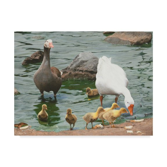 Trademark Fine Art 'The Family Ducks' Canvas Art by Luis Aguirre
