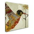 thumbnail image 3 of Trademark Fine Art "Hummingbird Brocade III" Canvas Art by Color Bakery, 3 of 4