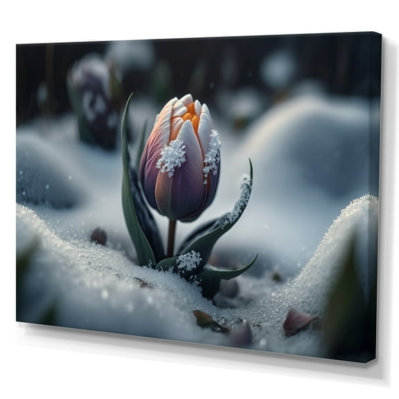 Designart A Blooming Multicolor Tulip Flower In Winter II Canvas Wall Art