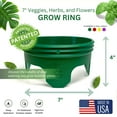 thumbnail image 5 of Planting Grow Rings, Round 7 inch, Perfect for Deep Watering Veggies Herbs and Flowers, Protection and Edging of Garden Plants, Green, Made in The USA - Pack of 4, 5 of 11