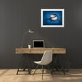 thumbnail image 3 of LaMontagne, Patrick 24x19 White Modern Wood Framed Museum Art Print Titled - Shark Totem, 3 of 4