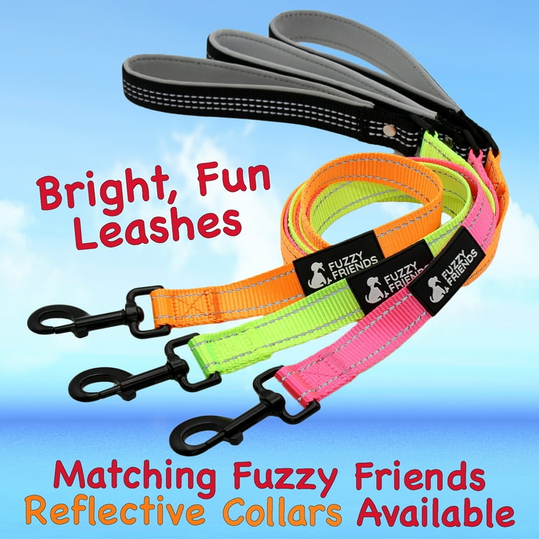 Fun dog hot sale leashes