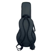 A-Style Series Acoustic-Electric Mandolin with Bag