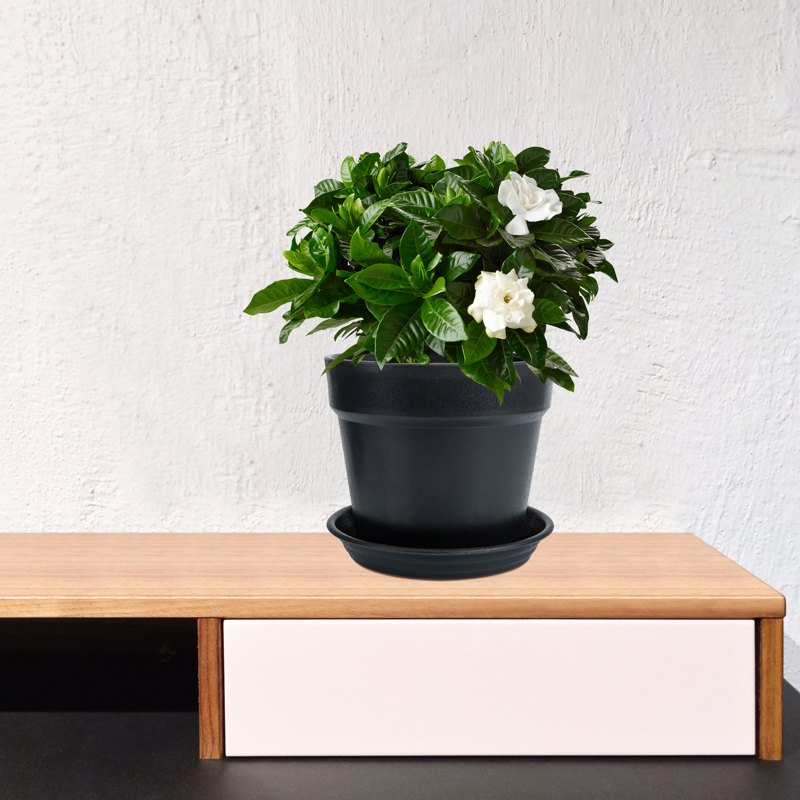 TABLZONE Black Plastic Plant Pots Set of 4 for Indoor and Outdoor Gardening, and Stylish Home