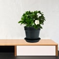 thumbnail image 2 of unbranded 2 Sets Artificial Ceramic Lookwith Tray Fashion Flower Pots 16.7x14.5cm Black, 2 of 8