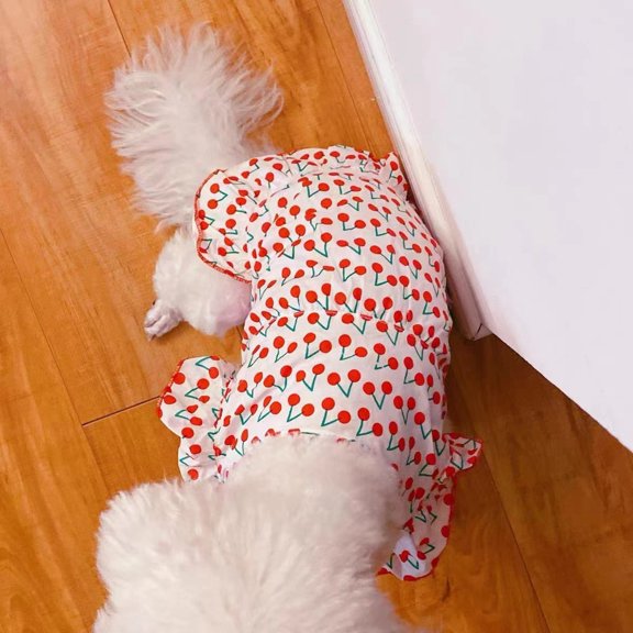 Adorable Pet Clothes for Cats & Small Dogs - Charming Spring & Autumn Wear