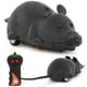 thumbnail image 4 of Control remoto ratón de peluche ratones simulación animales mascota gato juguete truco jugando novedad regalo gris, 4 of 9