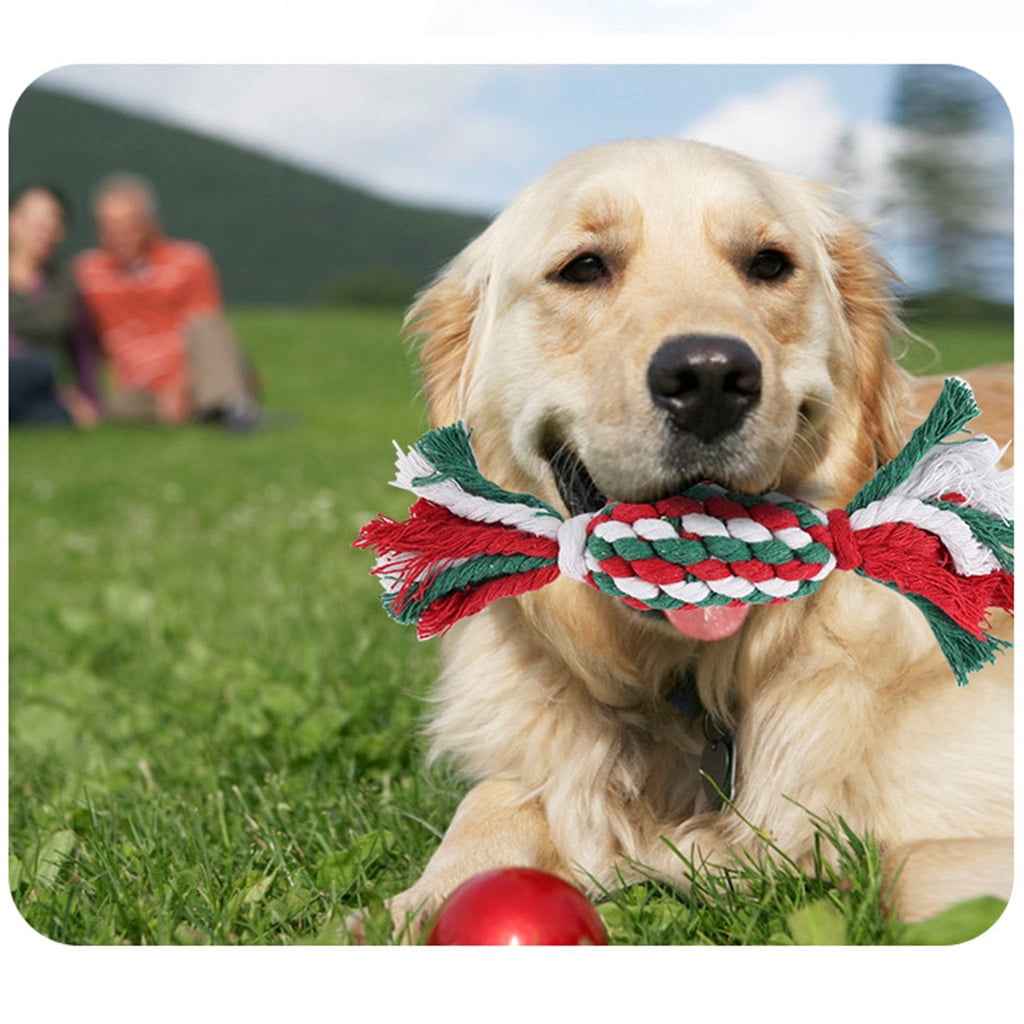 5 Pcs Indestructible Cute Tug of War Plush Christmas Dog Toy Chew Puppies Gift for Pet Interactive Interesting