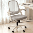 thumbnail image 3 of NEO CHAIR Office Chair, Flip-up Padded Armrests Desk Chair, Ergonomic Back Support, Gray, 3 of 9