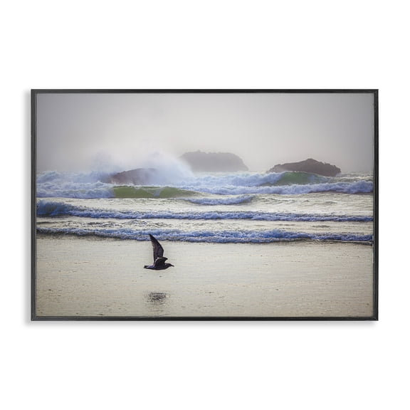 Stupell Industries Coastal Black Framed Giclee Art, 18 x 12, by Marty Hulsebos