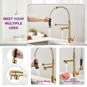 PROOX Spring Kitchen Sink Faucet Pull Down Sprayer Single Handle Modern Kitchen Faucets