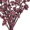 thumbnail image 3 of Vickerman Natural Botanicals 13" x 1-3" Red Gum Branch Red Frosted, 14 stems per unit, 3 of 5