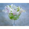 thumbnail image 2 of Jaynes Gallery 32x26 Gold Ornate Wood Framed with Double Matting Museum Art Print Titled - USA-Washington State-Seabeck Alstroemeria blossoms in vase, 2 of 4