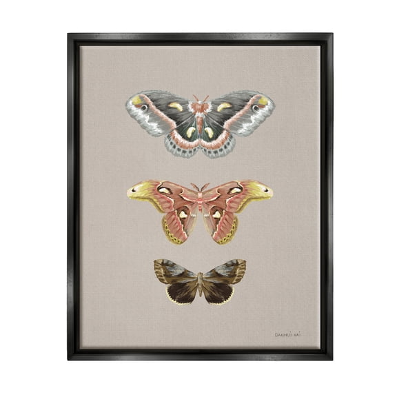 Stupell Industries Vintage Moth Specimens Animals & Insects Painting Black Floater Framed Art Print Wall Art, 17 x 21