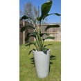 thumbnail image 2 of Modena Gray Small, 2 of 4