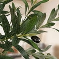 thumbnail image 6 of OLIVIVI Olive Trees Artificial Indoor, 8FT Tall Faux Olive Tree with BlackTall Planter, Artificial Plants with Natural Wood Trunk and Lifelike Fruits for Home Office Decor, 6 of 12