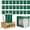 Green, variant on Makerflo 20oz Skinny Powder Coated Glossy Tumbler with Handle Option – Leak-Proof Lid, Silicone Straw & Gift Box – Customizable with Laser Engraving, UV Printing, Epoxy & UV DTF (Teal) Case of 25