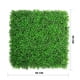 thumbnail image 2 of Muro Verde Nuvow follaje Artificial sintético Mod. Lemongrass 1 m2, 2 of 3
