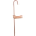thumbnail image 3 of Walking Cane Accessory, 3 of 3