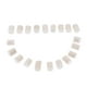 thumbnail image 2 of Parachoques de Fieltro Baoblaze para Llave de Saxofón 20 Piezas para Piezas de Reparación de Saxofón Soprano Alto Tenor Blanco, 2 of 8