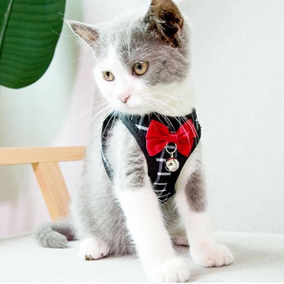 GASTROPOD Cat Leash and Harness Set,Breathable Dog Harness,Pet Harness,Adjustable Mesh Cat Harness and Leash Escape Proof for Puppy Cat Rabbit Kitten Harness and Leash Set (Black, Xs)