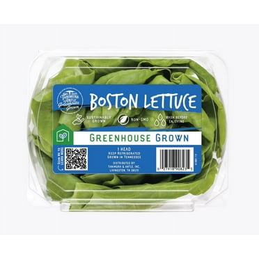 Fresh Butter Lettuce, Each