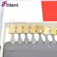 thumbnail image 5 of Tooth Guide Dental Material Vita 16-Color Tooth Model Colorimetric Plate Tooth Shape Design Tooth Beauty Device 16 colors, 5 of 5