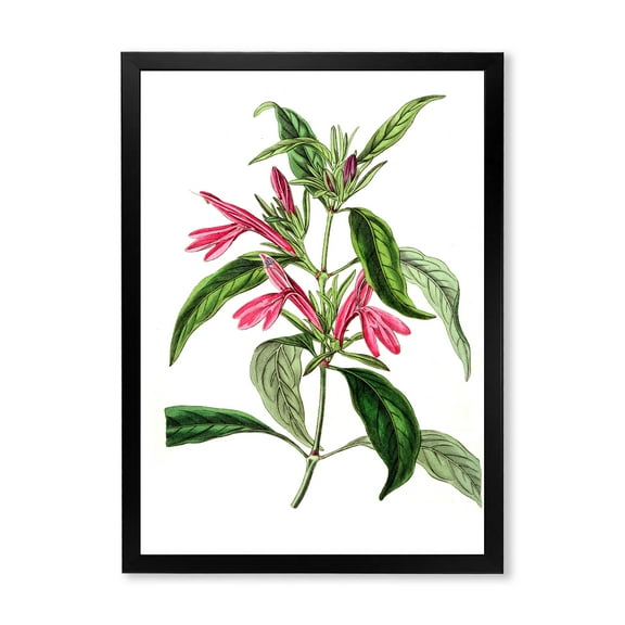 Designart 'Ancient American Flora VII' Traditional Framed Art Print