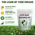 thumbnail image 4 of Earthwise Shady Native Wildflower Seed Mix for Shade Gardens and Pollinator Areas, Shade Tolerant Blend, 1,2 lb, Covers 375 Sq ft, 4 of 10