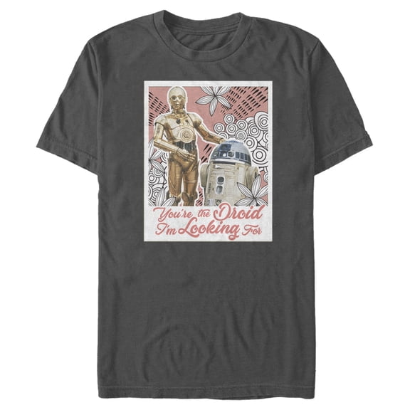 Men's Star Wars R2-D2 and C-3P0 Line Pattern Graphic Tee Charcoal Small