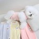 thumbnail image 4 of Ropa para perros, chaleco cálido de invierno para cachorros, abrigo, ropa para perros pequeños, ropa para chihuahua, disfraz de Yorkshire, pijama suave para perros, 4 of 5