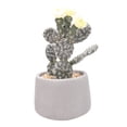 thumbnail image 1 of Planta Mainstays Artificial con Maceta Gris, 1 of 4