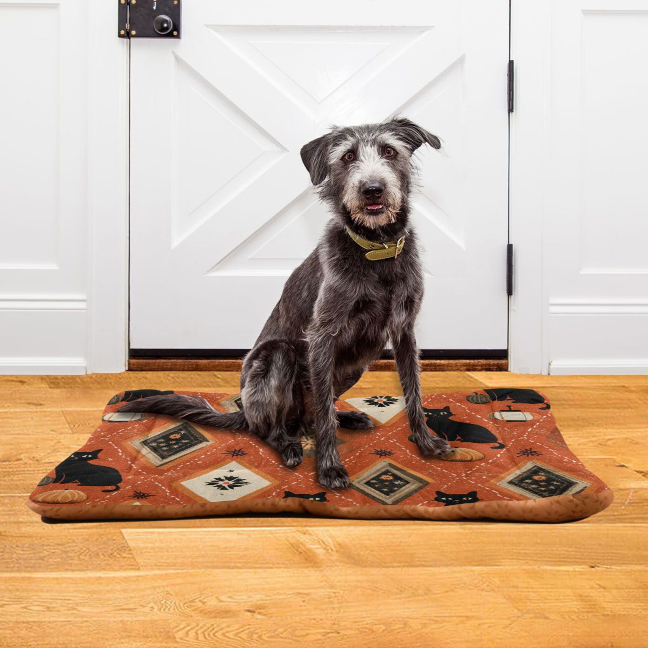 Cozy Mat Pet Bed Indoor Outdoor Warm Soft For Cat Dog Puppy(S/M) Pumpkins Black Cat