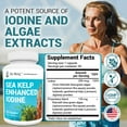 thumbnail image 2 of Dr. Berg Sea Kelp Enhanced Iodine Supplement , 90 Capsules, 2 of 9