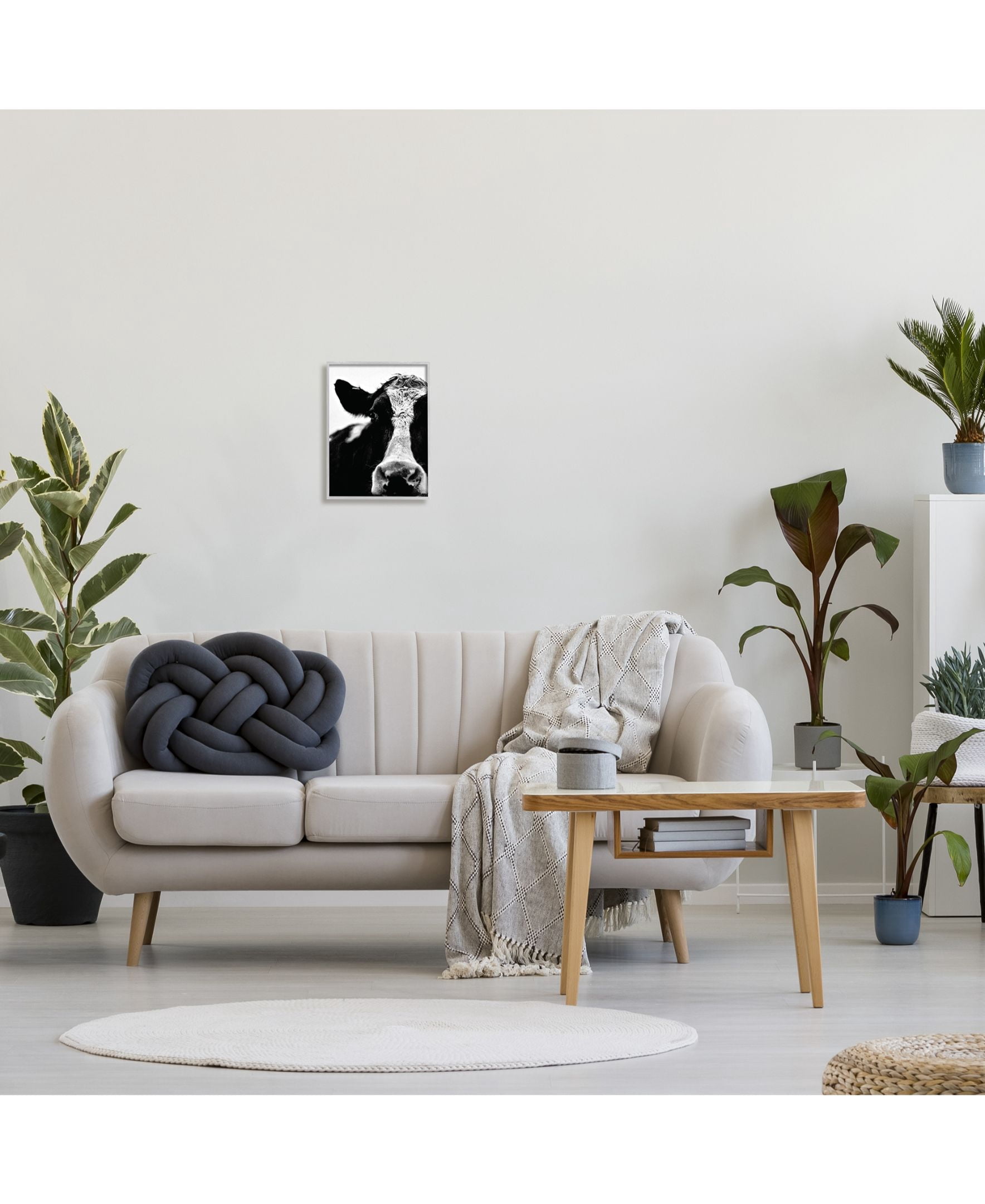 Stupell Industries Cow Black And White Close Up Framed Wall Art by Lettered and Lined